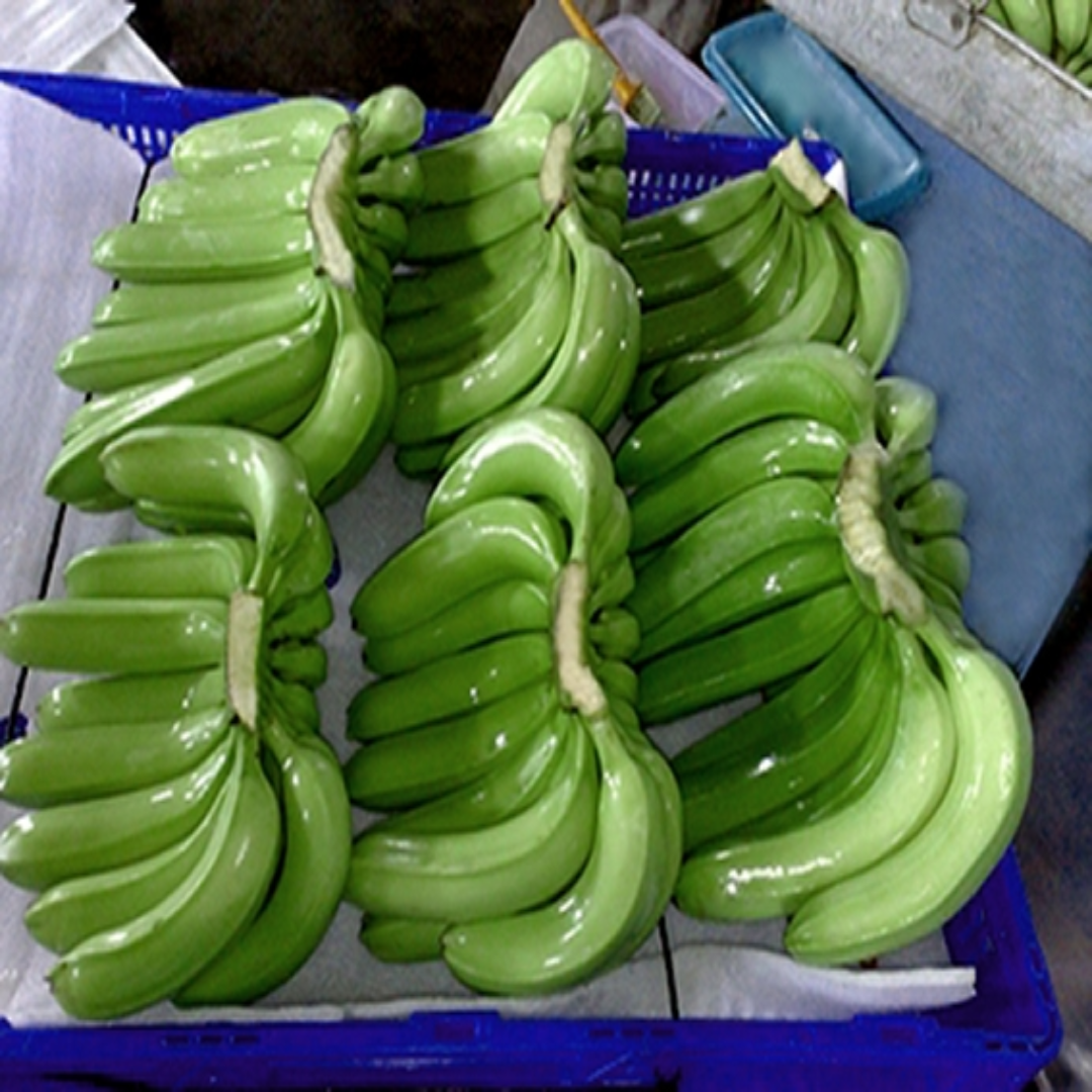 Cavendish Banana Fresh Supply from Vietnam