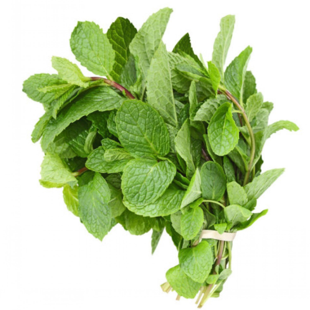 Mint Leaves 30 Gram Pack Fresh from Vietnam