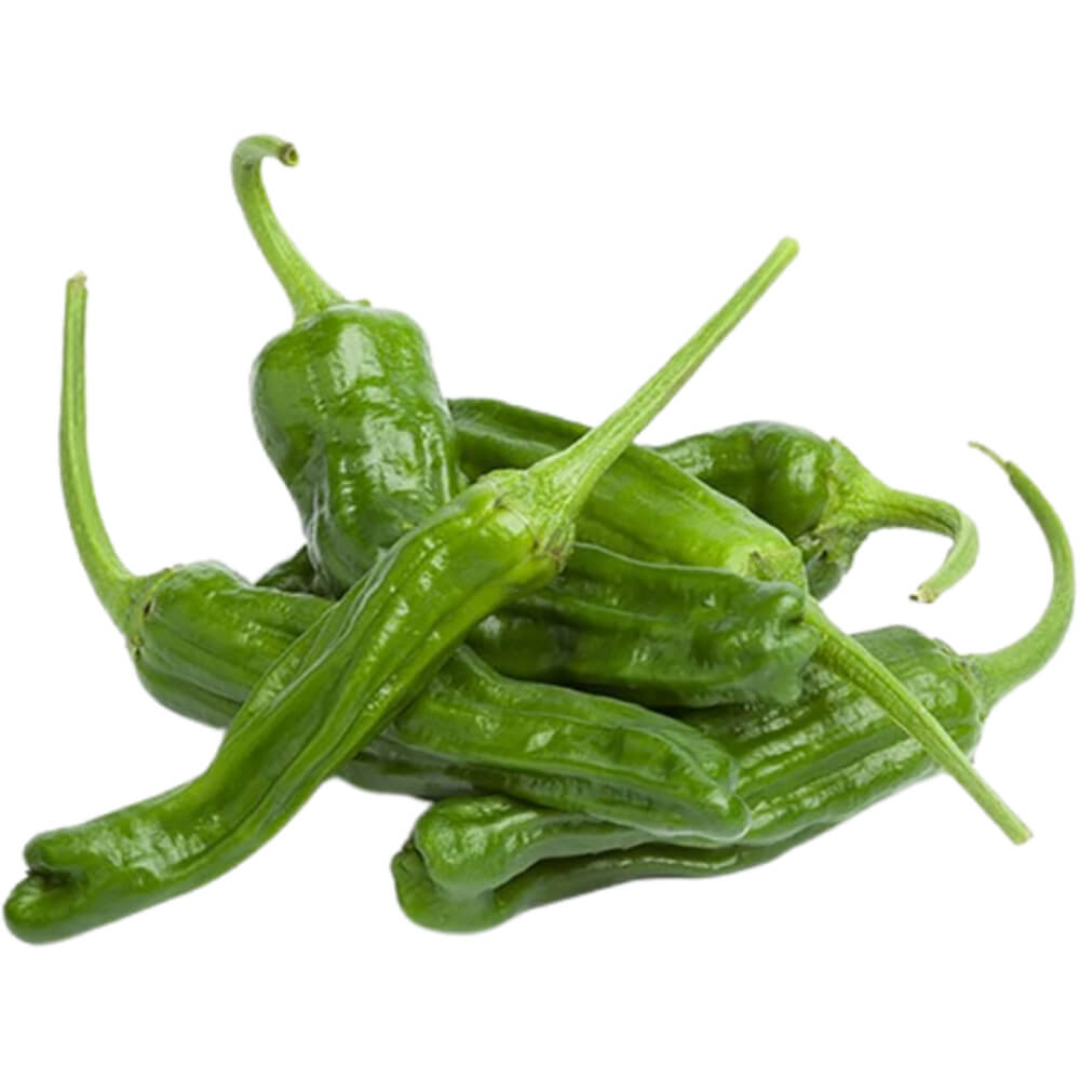 Padron Peppers Fresh Green Chilli UAE Supplier