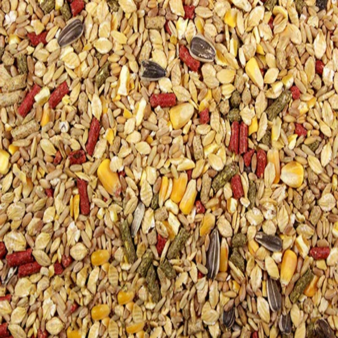 Nutritious Hamster Mix For Healthy Small Pets