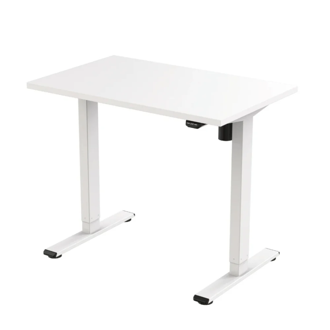 Flexispot E2 Electric Standing Desk for Modern Offices