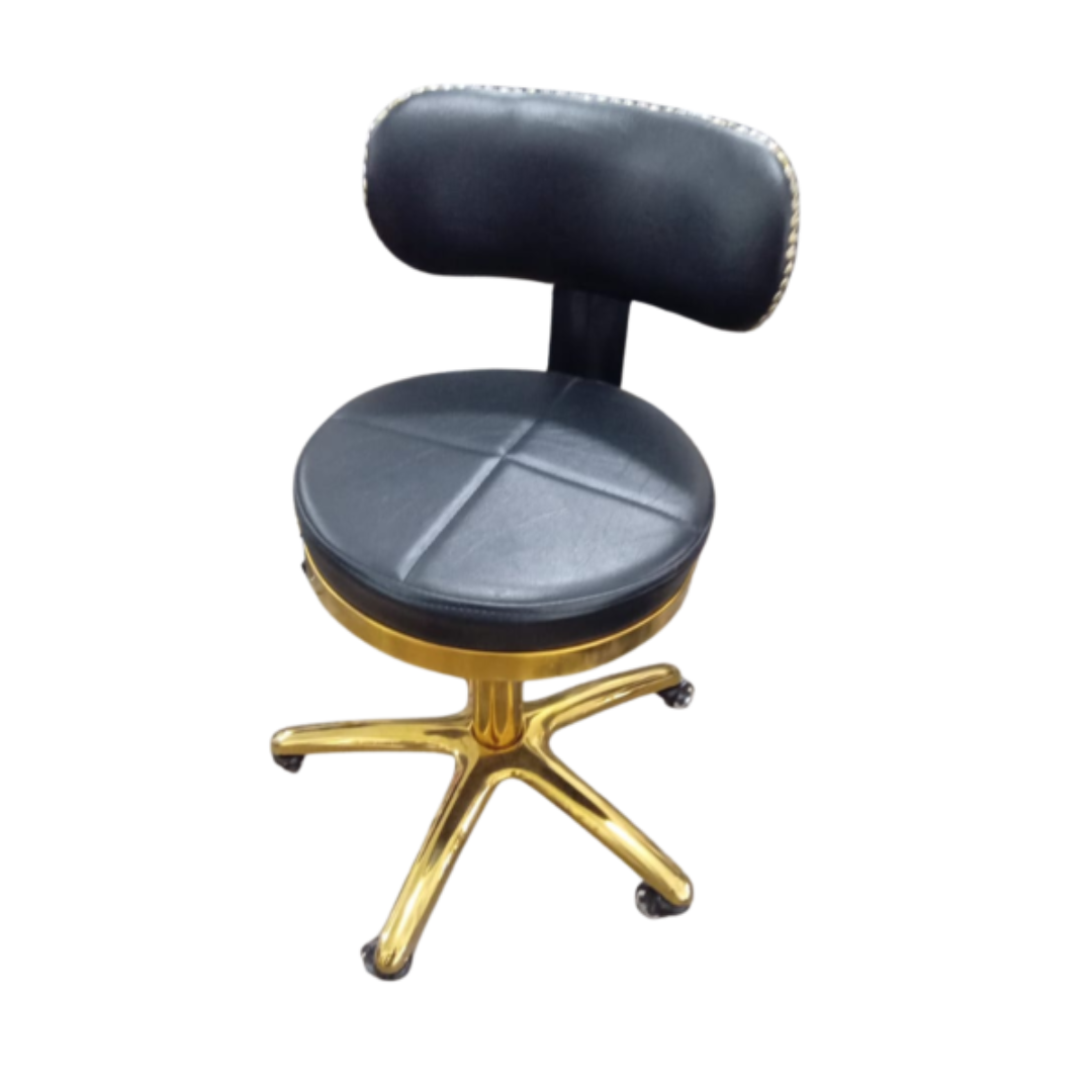 Spa Stool Back Rest Gold SBRG 004 Luxury Salon Furniture Adjustable Comfortable Seating Design