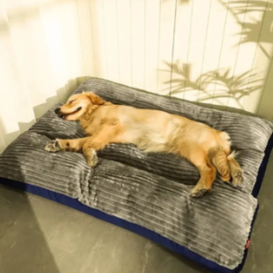 Removable Machine Washable Calming Dog Bed Pad Anti Slip Orthopedic Pet Bed for Cats and Dogs