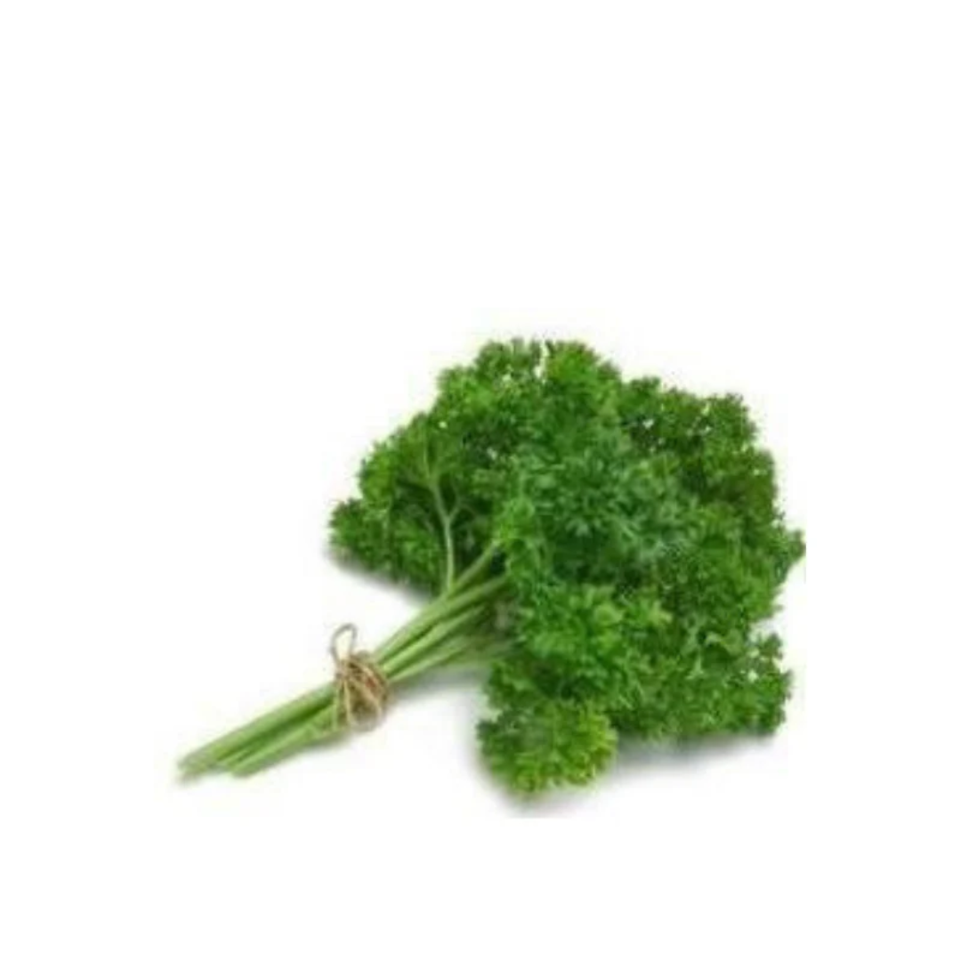 Organic Parsley Leafy Green 50g Fresh Aromatic Herb Rich in Nutrients Perfect for Garnish and Cooking