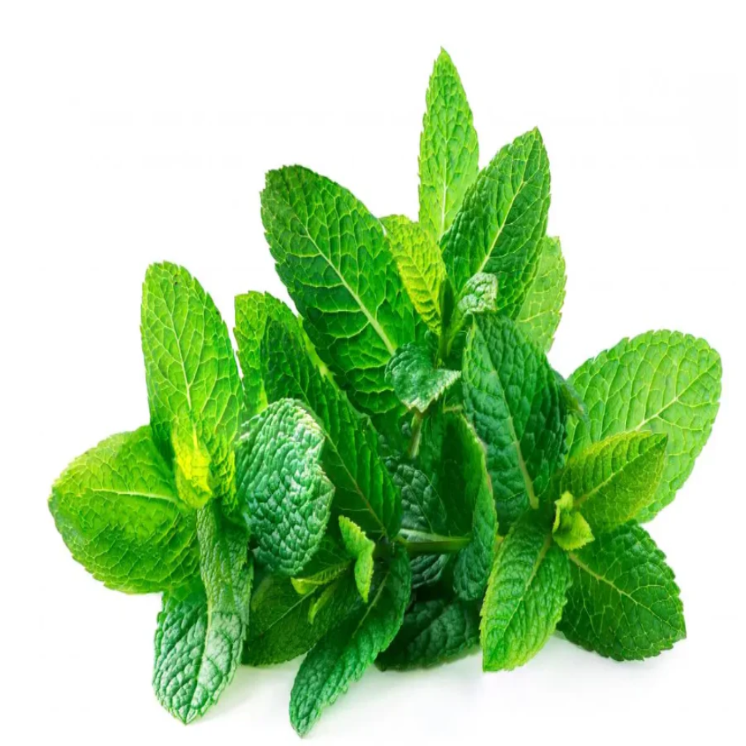 Organic Mint Leaves 50 g Fresh Aromatic Herb for Cooking Garnish Herbal Tea and Healthy Recipes