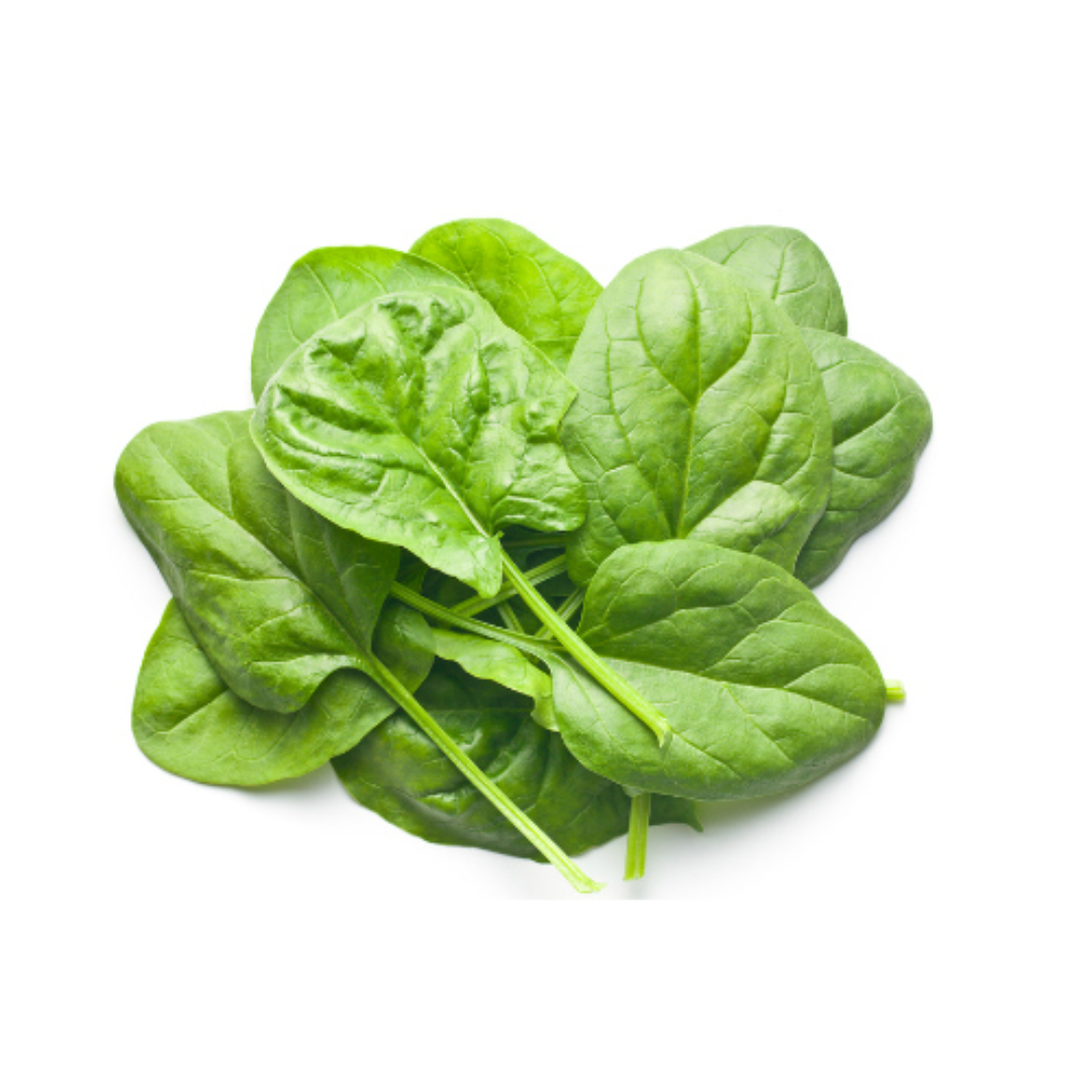 Spinach Leafy Green 200g Fresh Organic Palak Rich in Iron Healthy Cooking Vegetable Farm Fresh