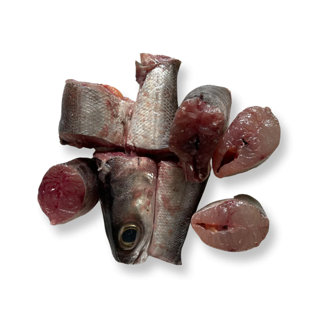 Fresh Jeelava Shellfish Slices Barracudas 1Kg Premium Seafood Fresh Clean Sliced Fish for Cooking