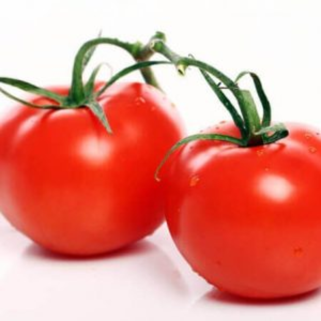 Fresh Farm Tomatoes Premium Quality Juicy and Natural Tomatoes Ideal for Cooking Salads and Recipes