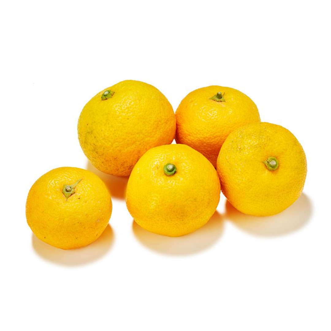 Premium Sudachi Citrus Fruit 1 Kg Fresh Japanese Lime Flavor for Juices Cooking and Garnish