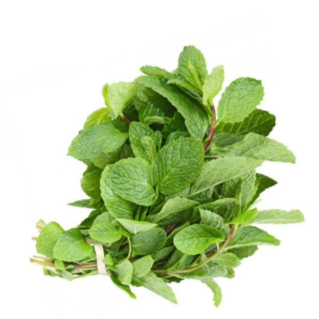 Fresh Mint Pudina Leaves 100gm Aromatic Green Herbs for Cooking Drinks and Garnishing