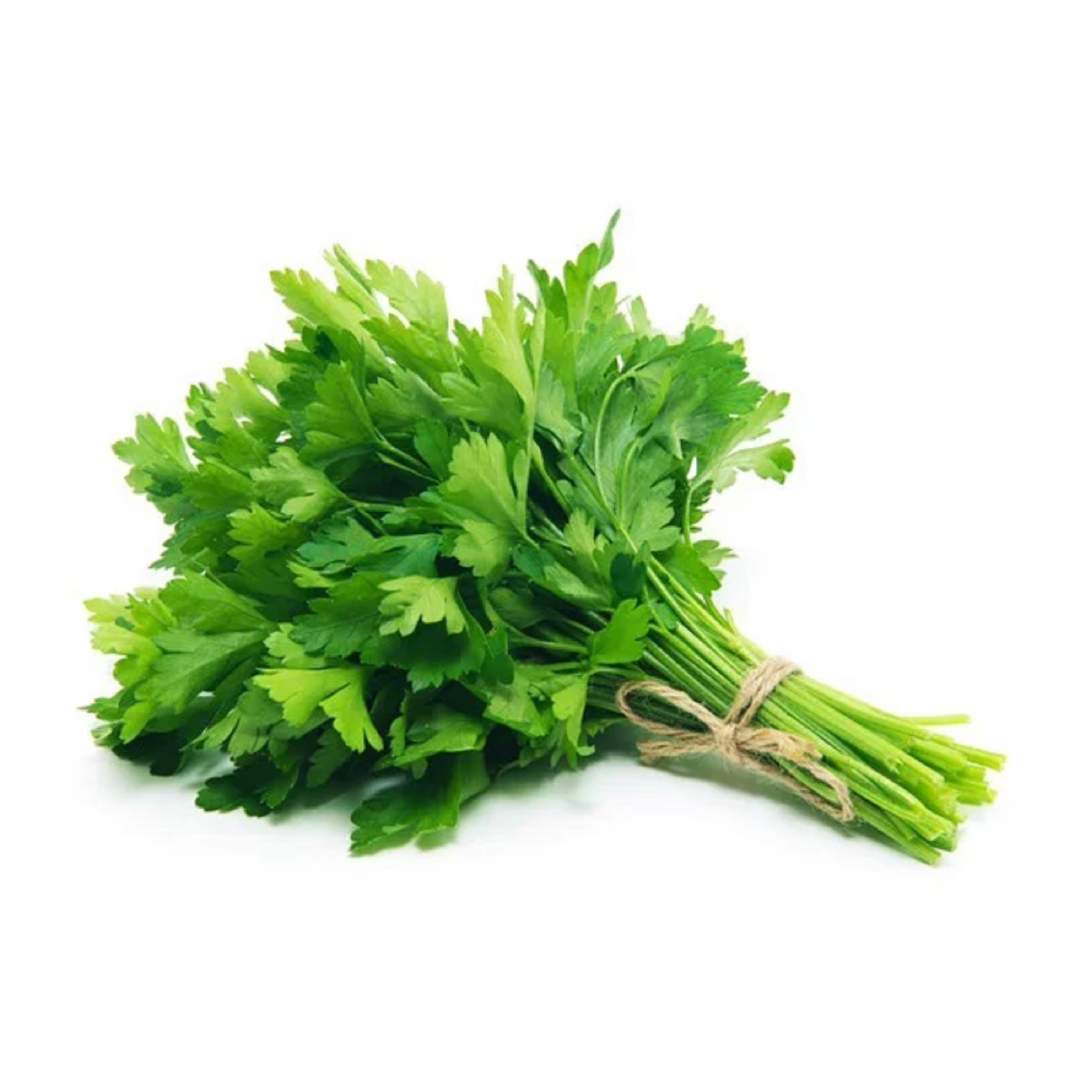 Fresh Cilantro 1 Kg Coriander Leaves Aromatic Herb for Cooking Garnish and Healthy Recipes