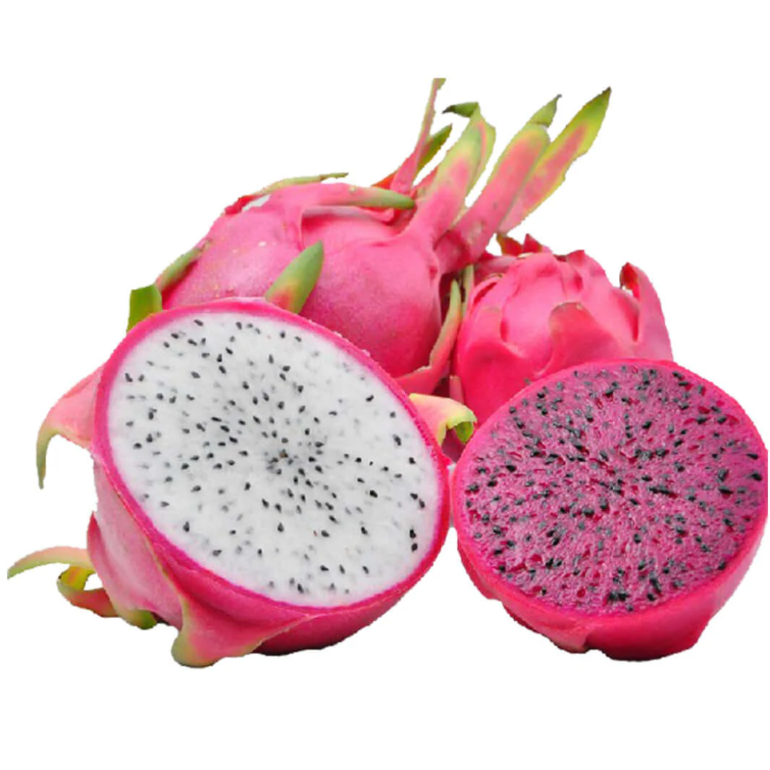 Fresh Dragon Fruit Premium Quality Exotic Pitaya Sweet Juicy Superfruit Rich in Antioxidants