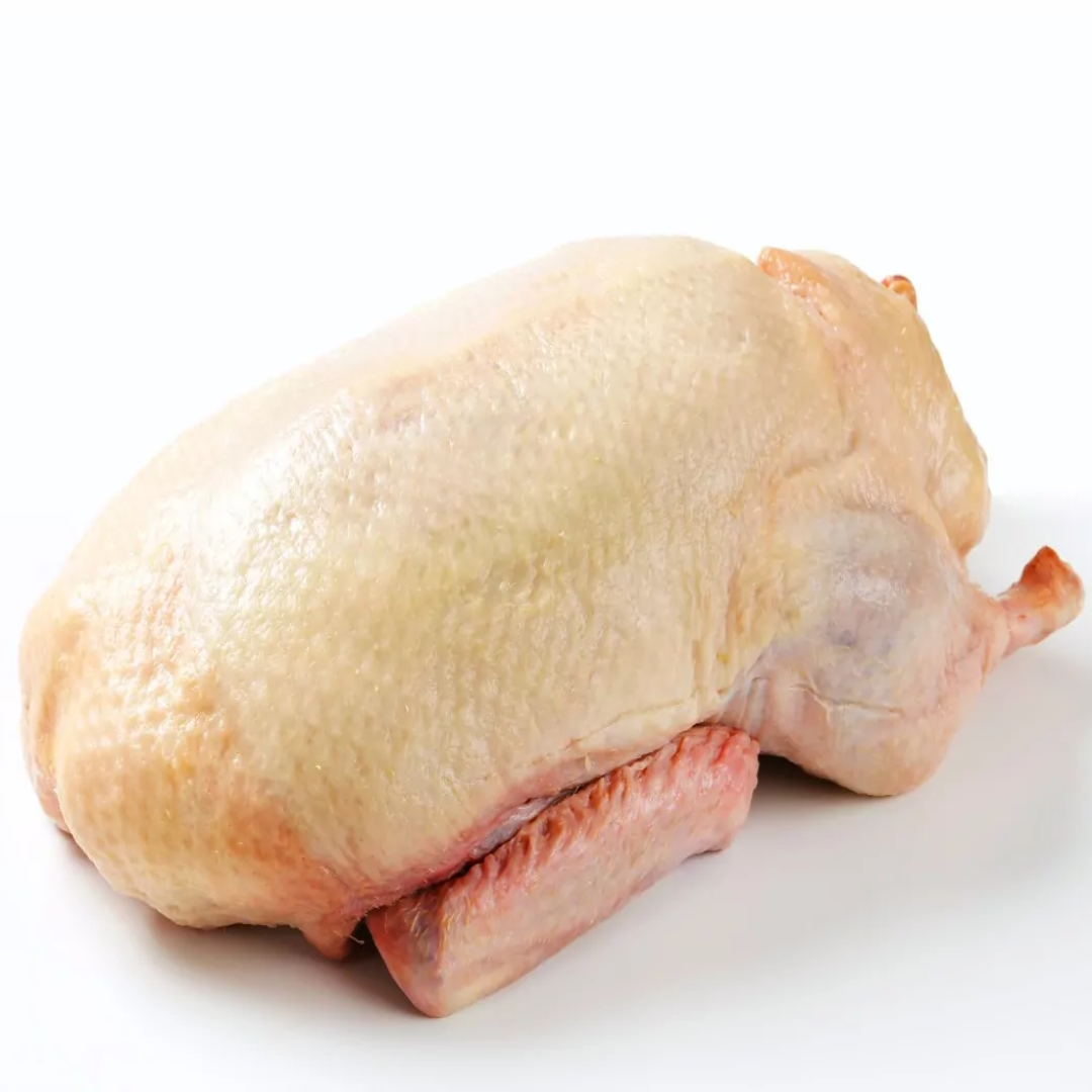 Whole Duck Fresh Farm Raised Premium Quality Duck Meat Perfect for Roasting and Special Dishes