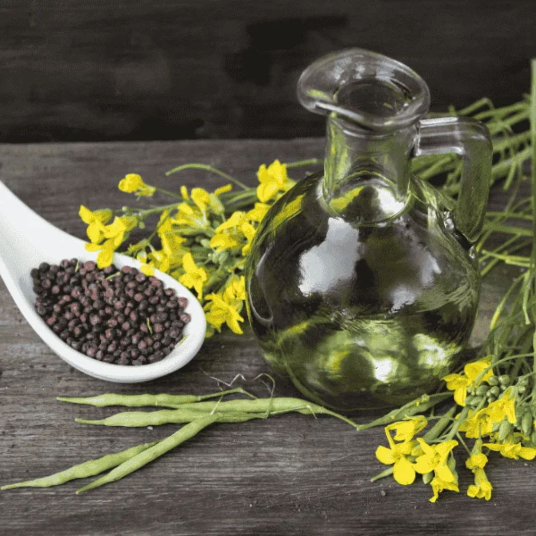 Refined Canola Oil Heart Healthy Cooking Oil Low Cholesterol Ideal for Frying Baking Meals