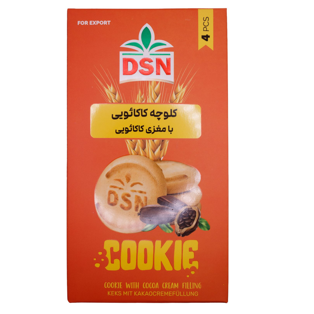 DSN Cocoa Flavored Cookies Pack of 4 Pieces Sweet Chocolate Biscuit Snack for Kids and Adults