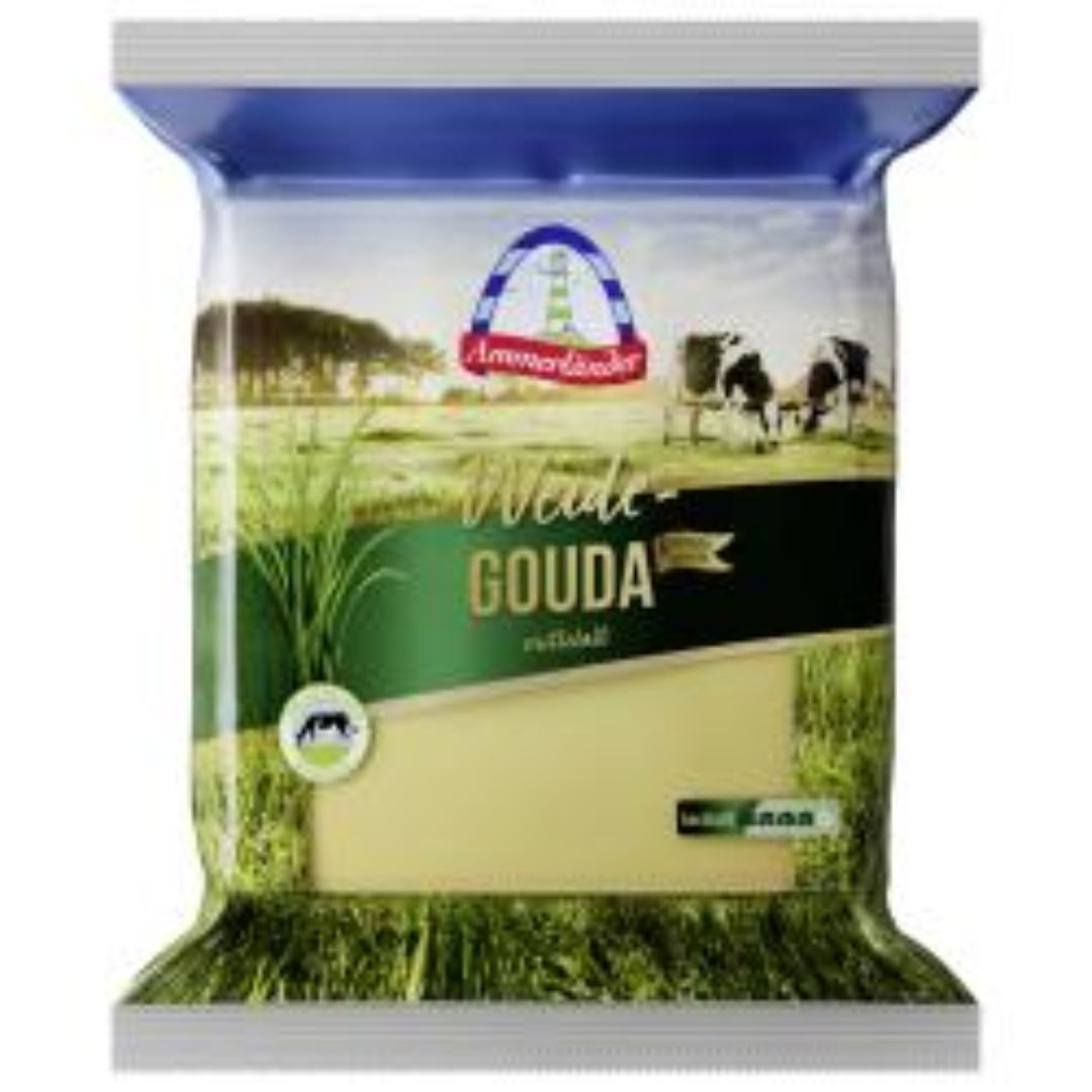Cheese Pieces Fresh Dairy Cheese Cubes Perfect for Cooking Salads Snacks and Recipes