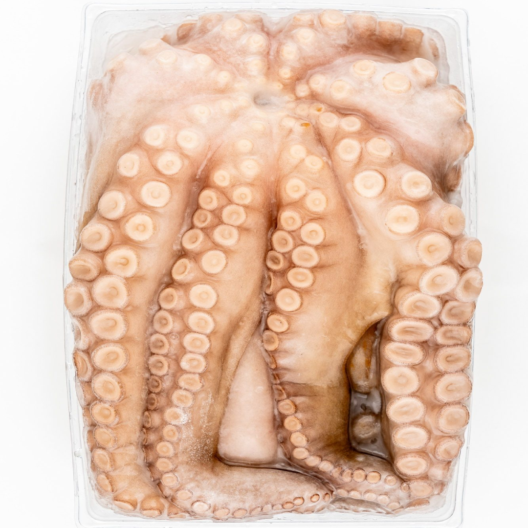 Raw Octopus in Tray Fresh Seafood Cleaned Octopus Ready to Cook Premium Quality Packaging