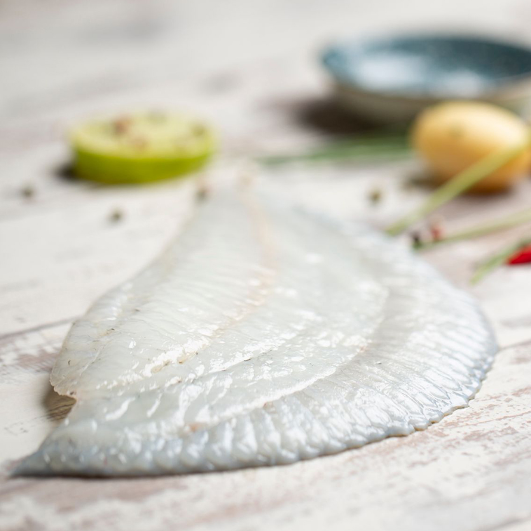 Classic Fresh Turbot Fillet Premium Seafood Cut Rich Taste Ideal for Cooking and Fine Dining
