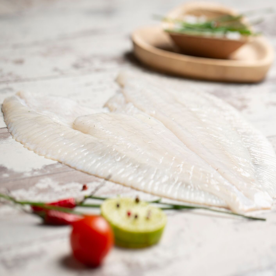 Fresh King Turbot Fillet Premium Quality Seafood Cut Perfect for Cooking Grilling and Recipes