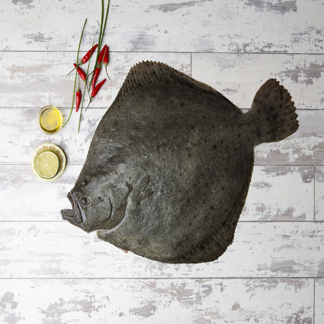 Whole Fresh Turbot Premium Quality Whole Fish Rich in Protein Ideal for Grilling Baking Seafood Lovers