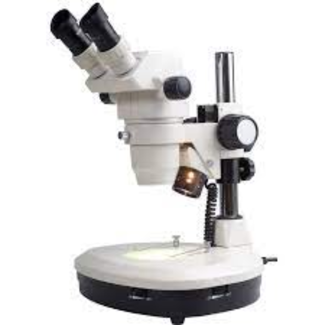 Stereo Microscopes