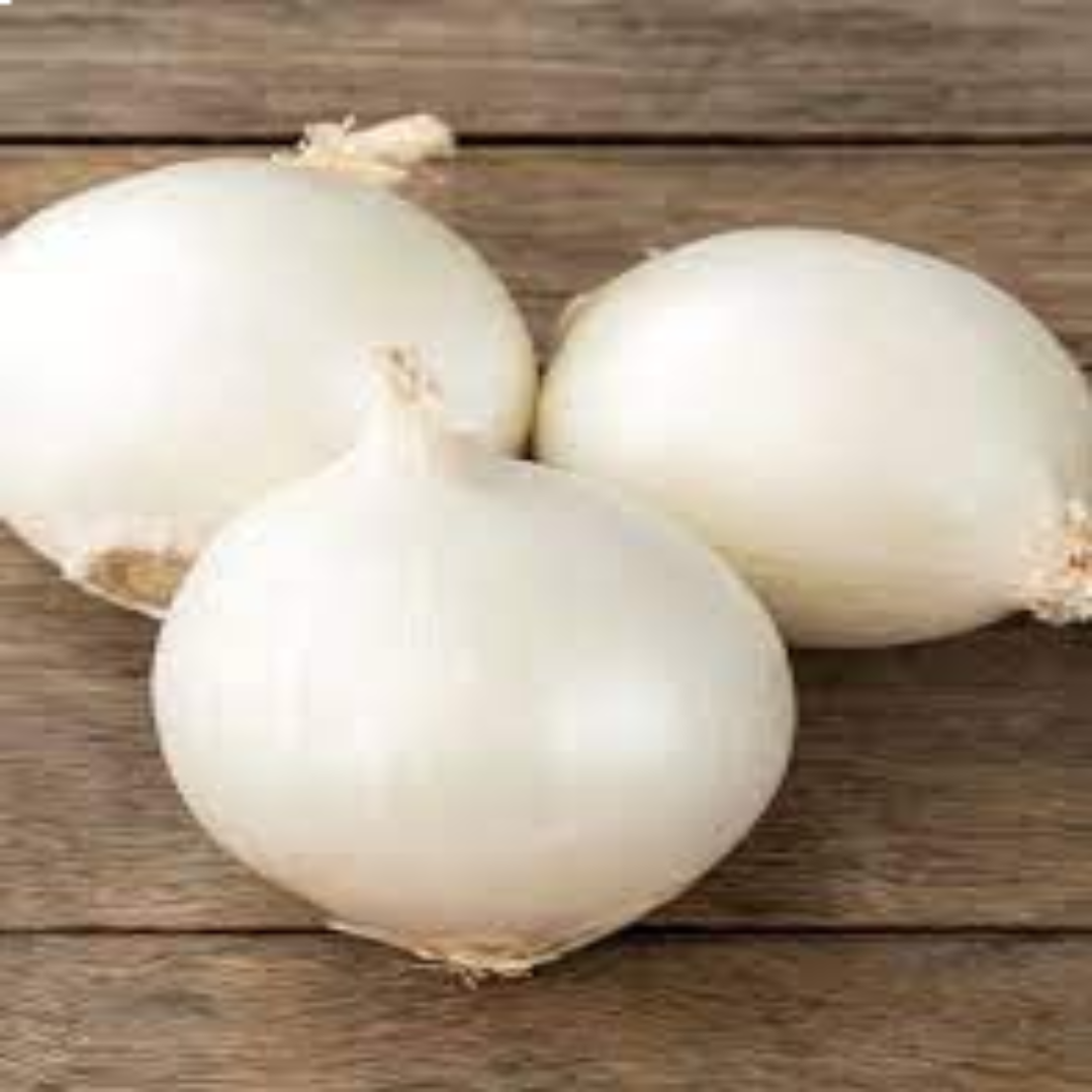 Premium White Onion for Clean Flavor and Food Processing