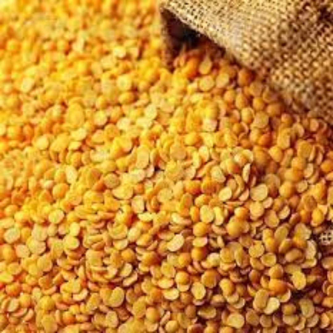 Split Pigeon Peas Toor Dal for Rich Protein Daily Cooking