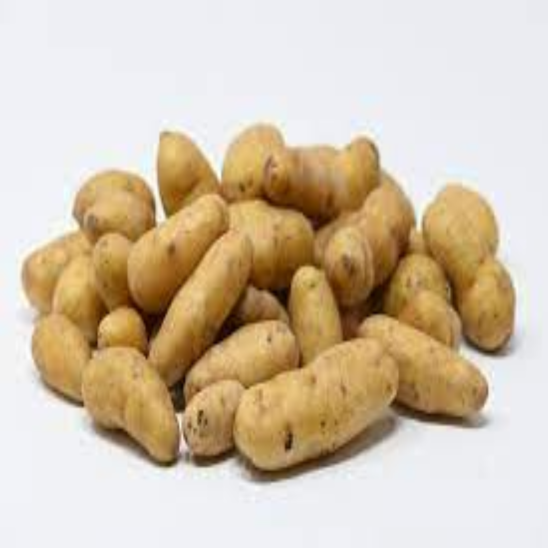 Fingerling Potato Supplier For Gourmet Cooking