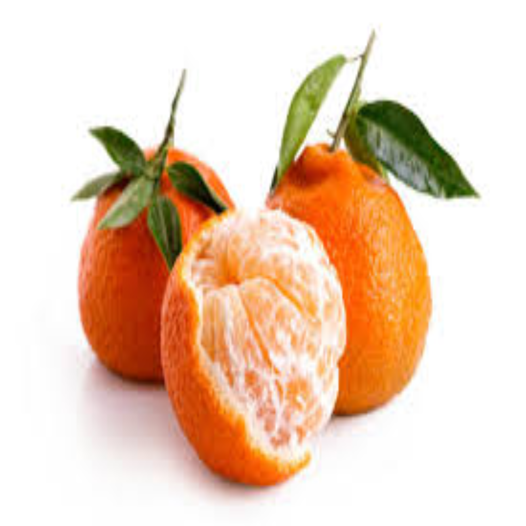 Premium Mandarin Orange Easy Peel Sweet Citrus Fruit High in Vitamin C and Natural Freshness