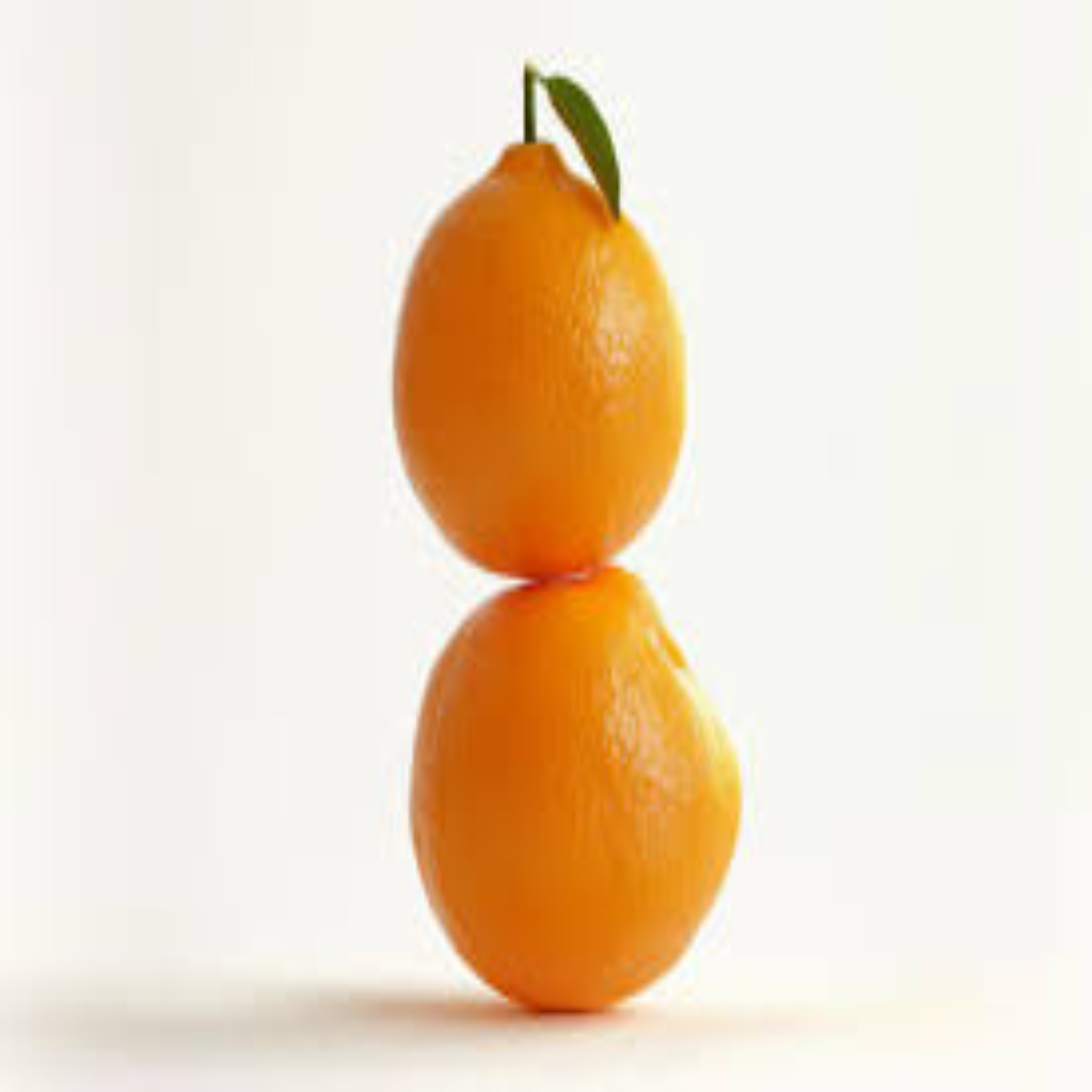 Tangelo Oranges for Fresh Export and Global Fruit Trade