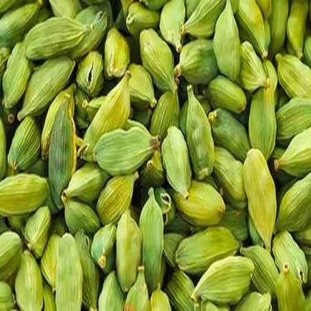 Bold Green Cardamom Elaichi Premium Quality for Sale