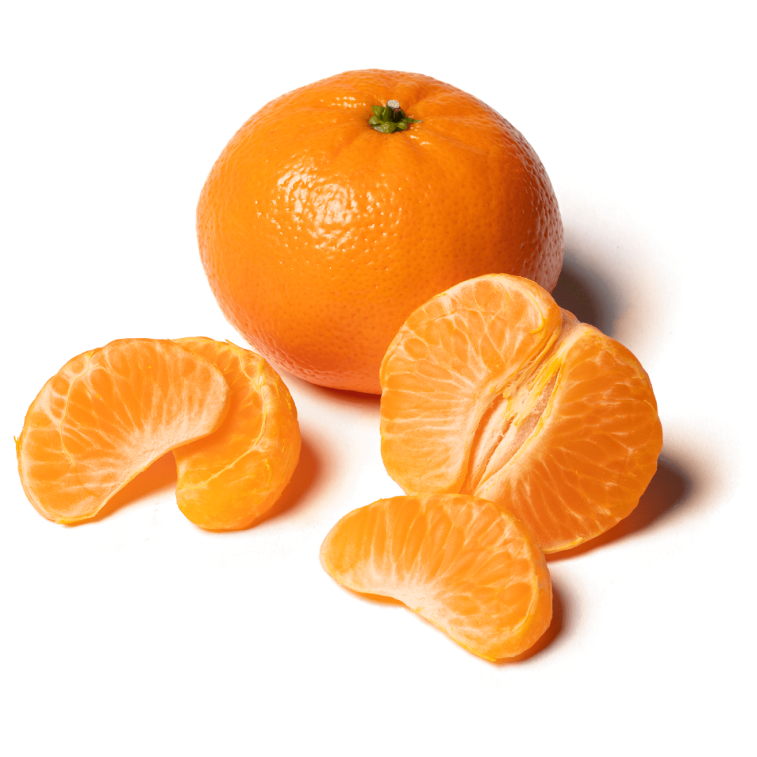 Fresh Mandarin Orange with Juicy Flavor and Export Quality