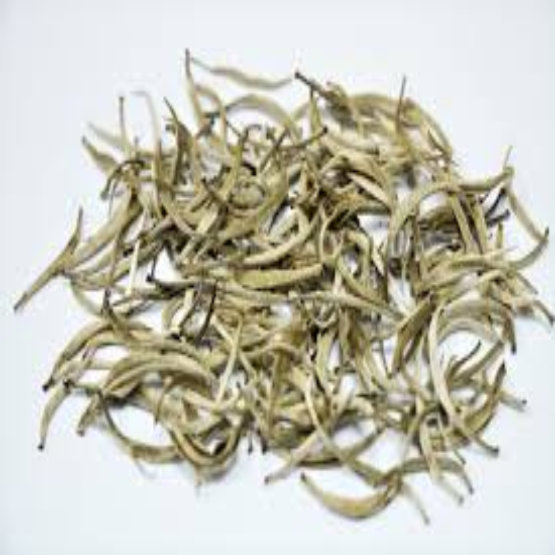 Silver Needle Tea Finest White Tea Delicate Sweet Flavor High Antioxidants Luxury Herbal Beverage