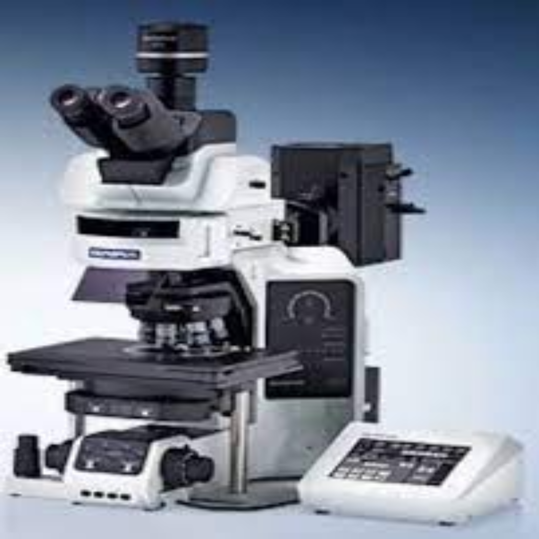 Upright Fluorescence Microscopes For Lab Research