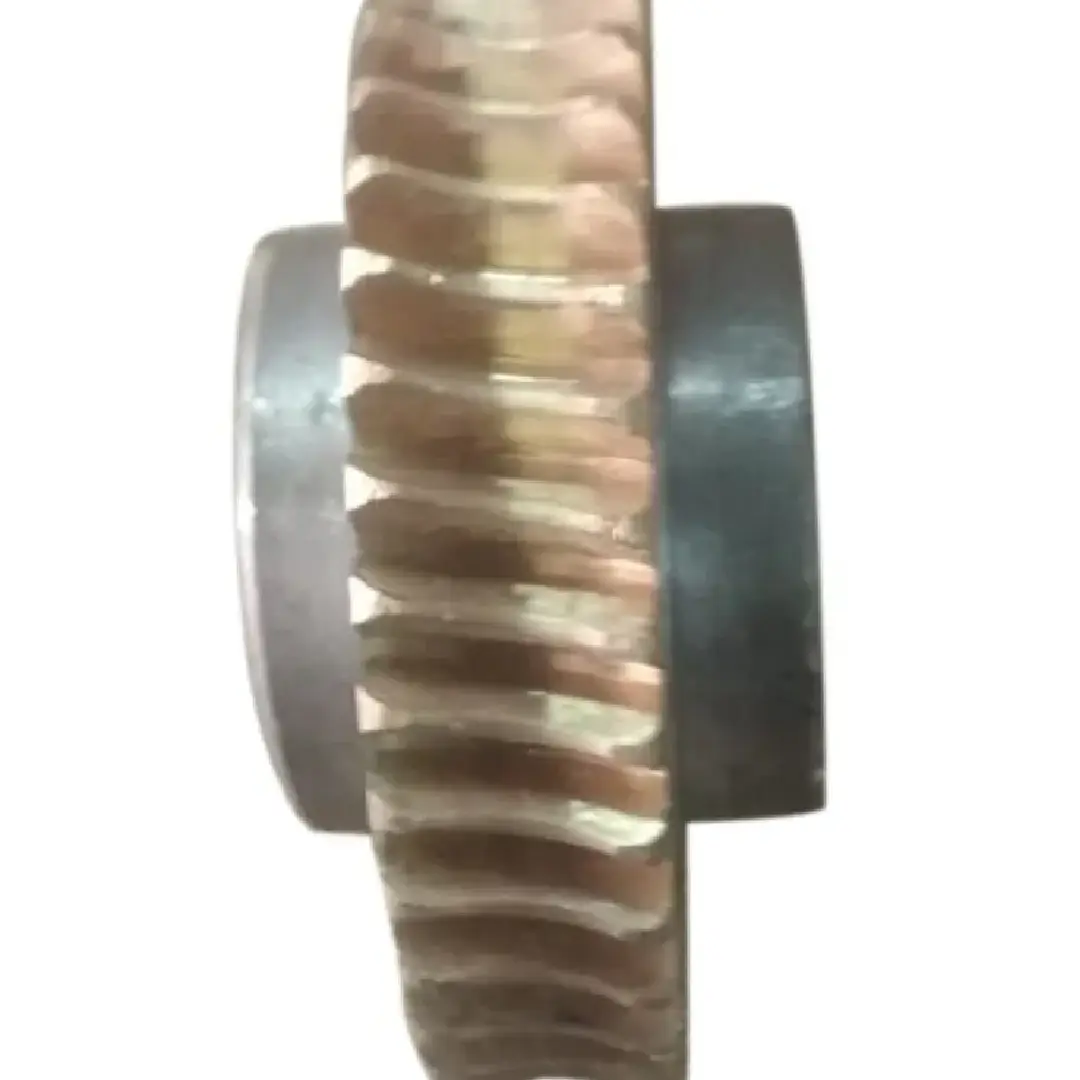 Mild Steel Spur Worm Wheel Gear Precision-Engineered Worm Gear for Machines