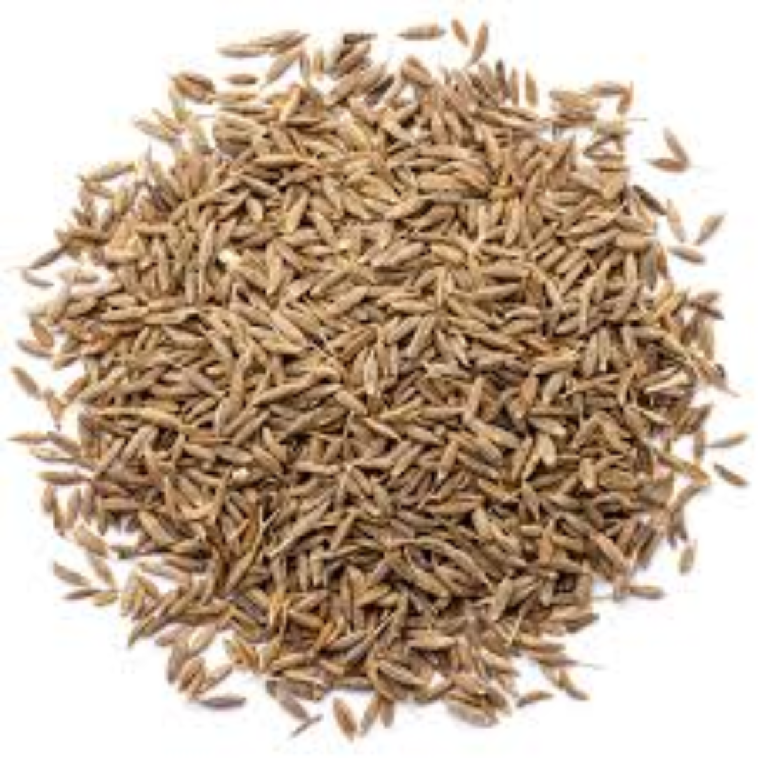Fennel Seeds – Dubai Distributors & Gulf Suppliers