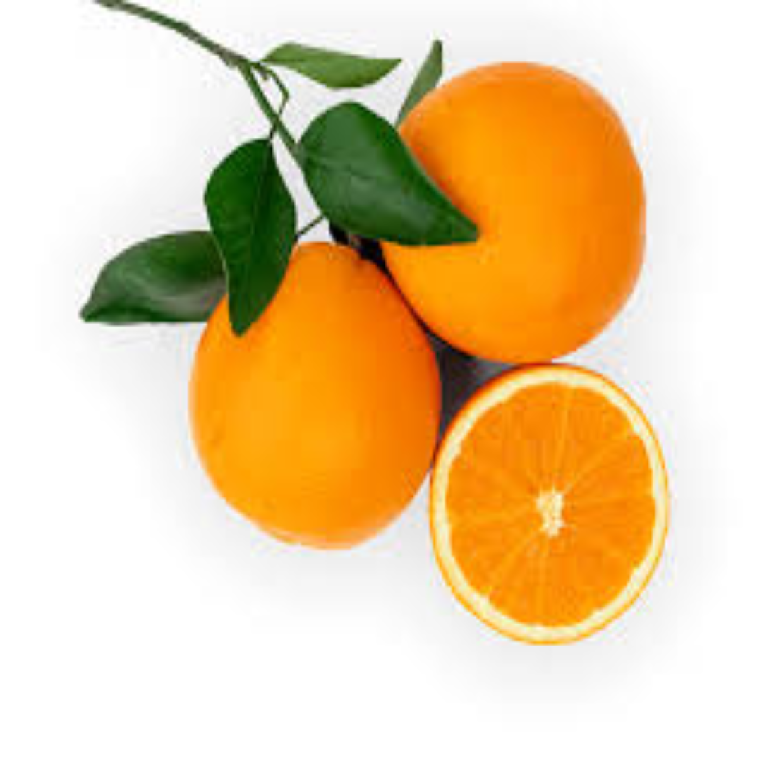 Fresh Navel Orange for International Produce Trade Supply