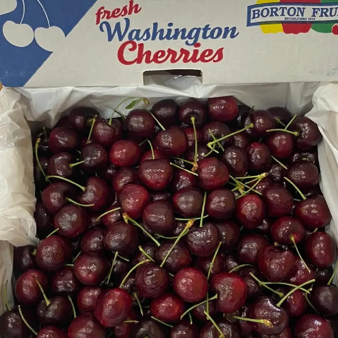 Fresh Red Cherry – Wholesale & Supplier from India