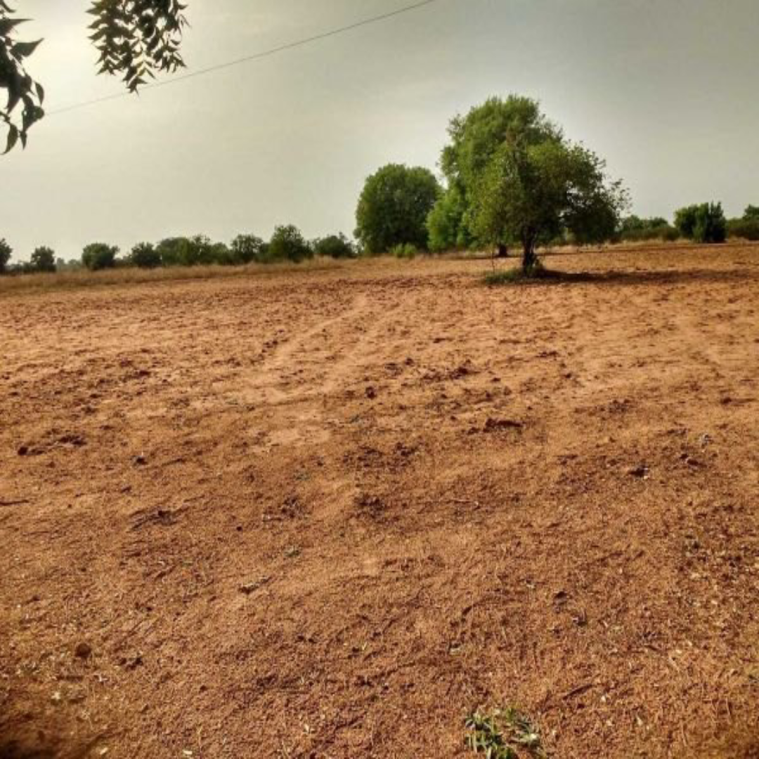 Agricultural Land for sale at Apte Village, Taluka Panvel, Dist. Raigad
