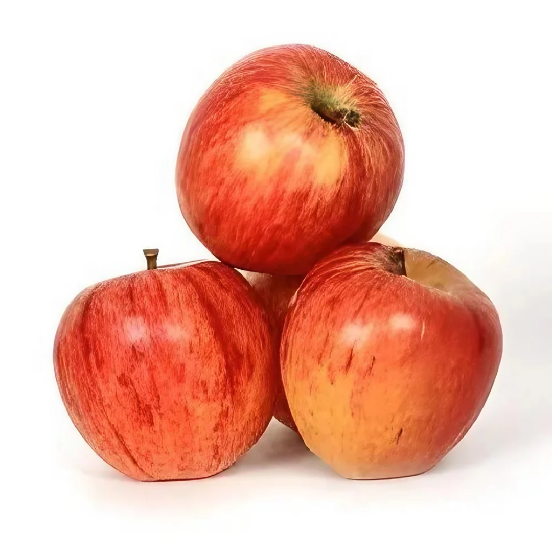 Shimla Himachali Fresh Organic Apple – Wholesale Supplier