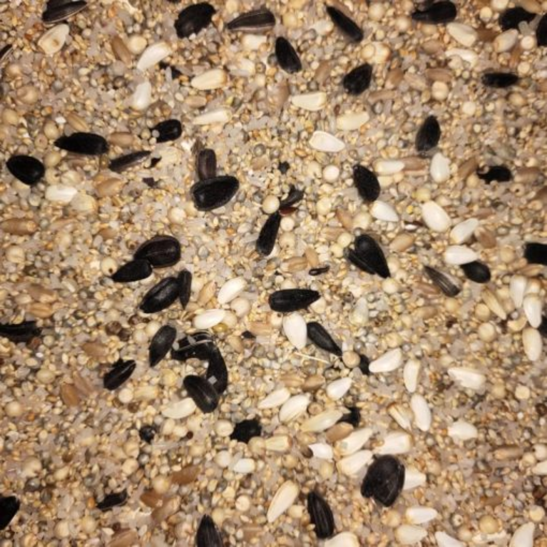    Bird Food Mix For All Birds 1 kg ( Pack Of 1 )