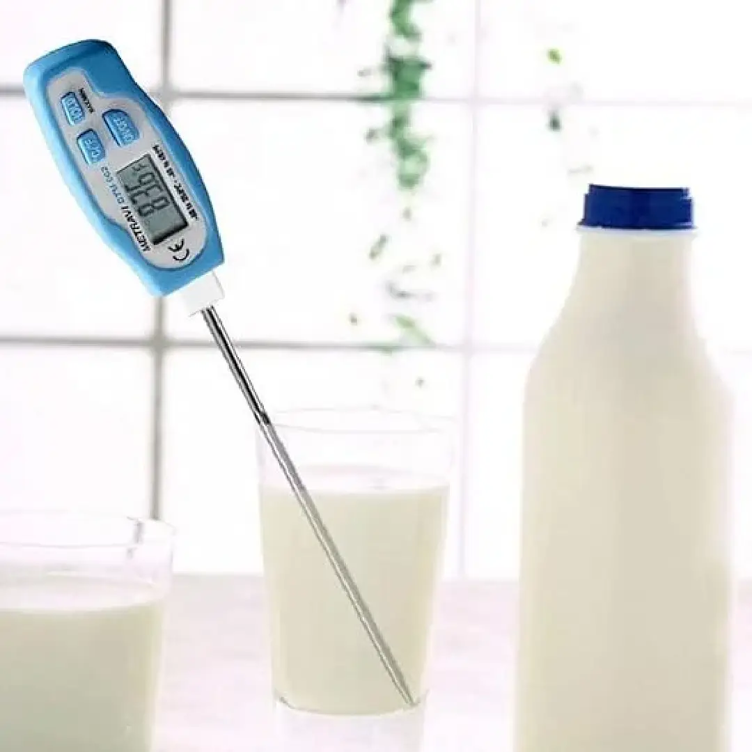 Plastic Digital Thermometer with Probe High Precision