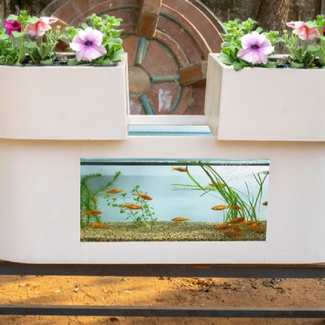 Commercial Aquaponics Systems