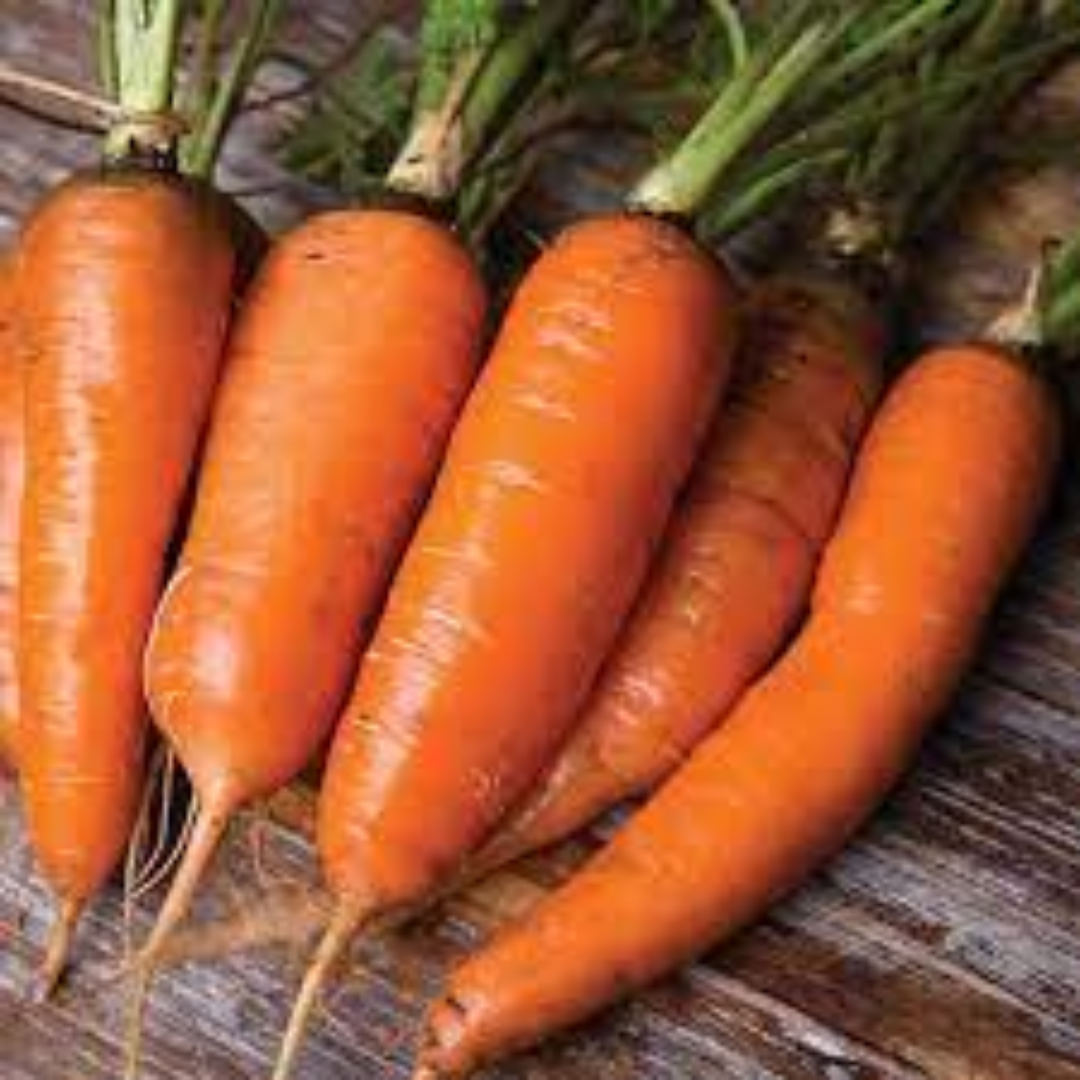 Danvers Carrots for Classic Bold Taste and Everyday Recipes