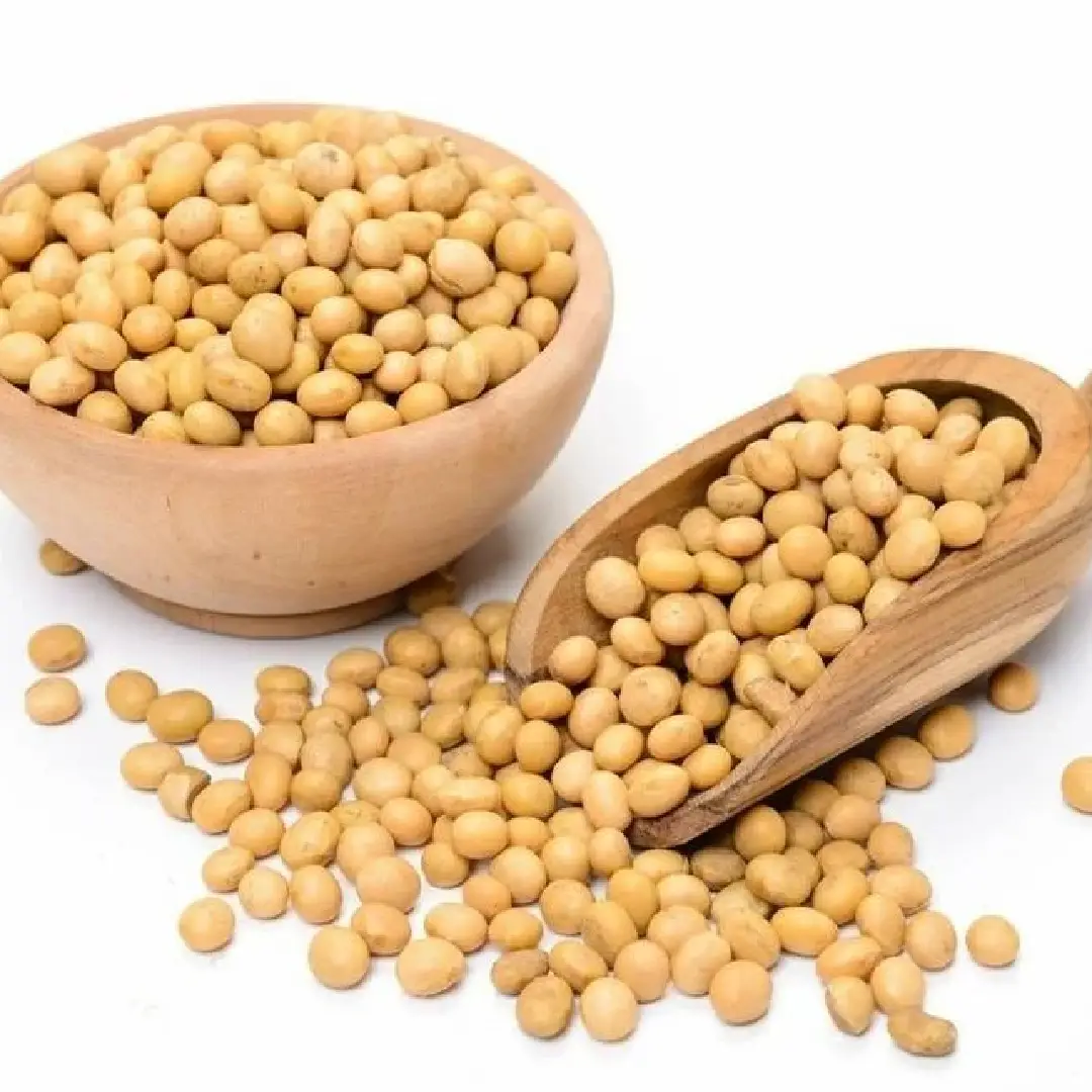 Organic Soybean Seeds for Cooking, Loose Packaging 500 Kg Minimum Order