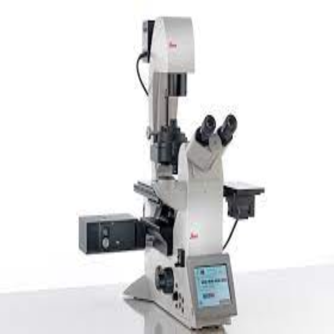Widefield Fluorescence Microscopes For Neuroscience Labs