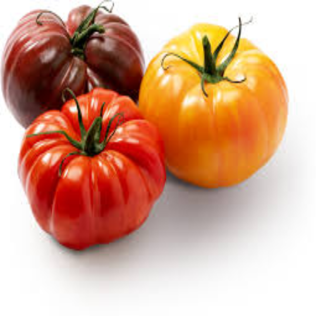 Heirloom Tomatoes for Premium Produce Buyers Worldwide