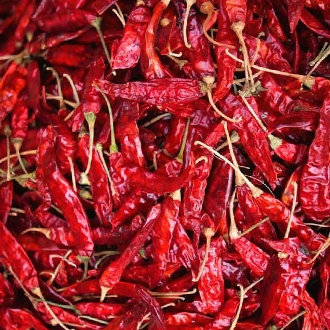 Top Dried Red Chillies – Wholesale & Supplier from India