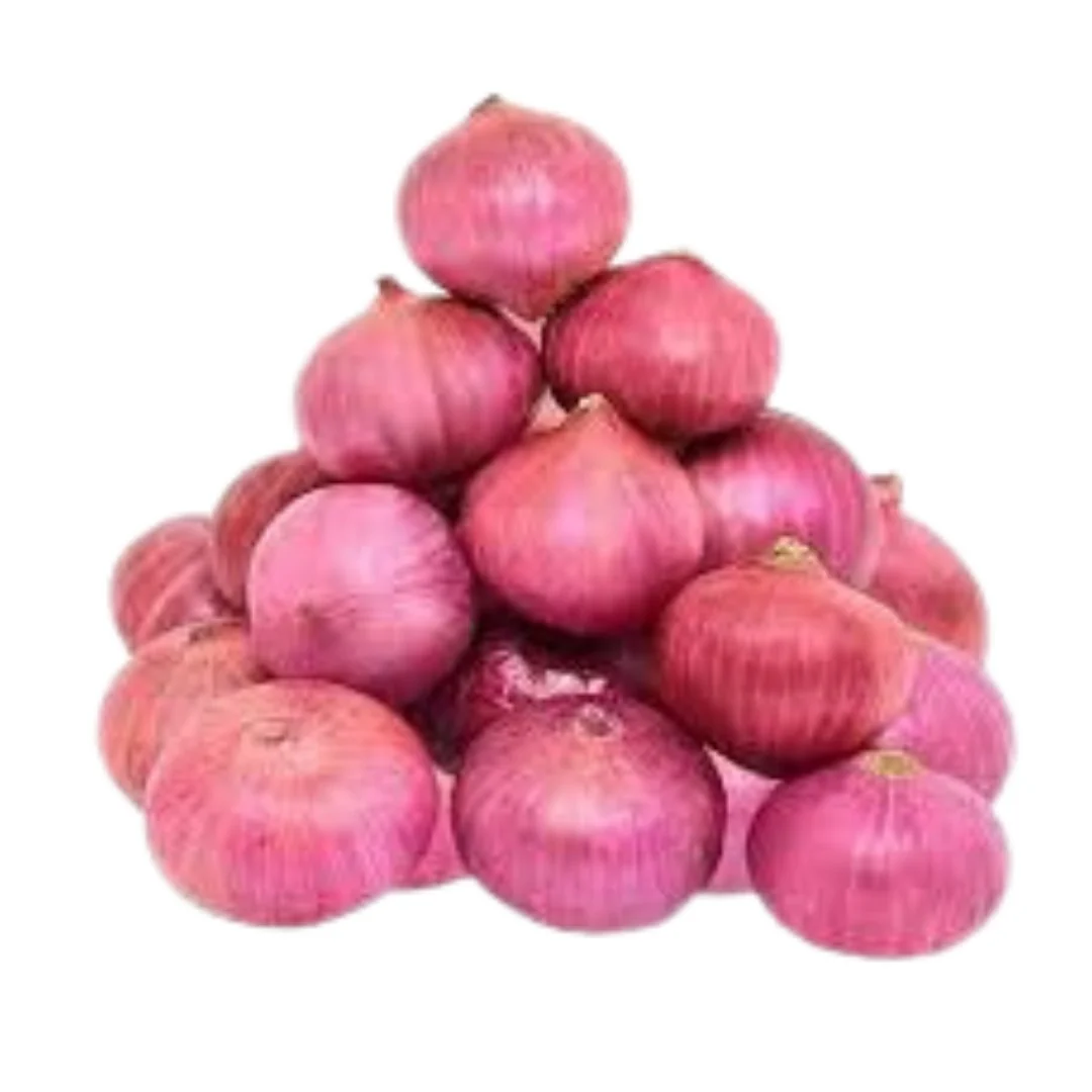 Onion RED for EXPORTS High-Quality Fresh Produce for Global Markets