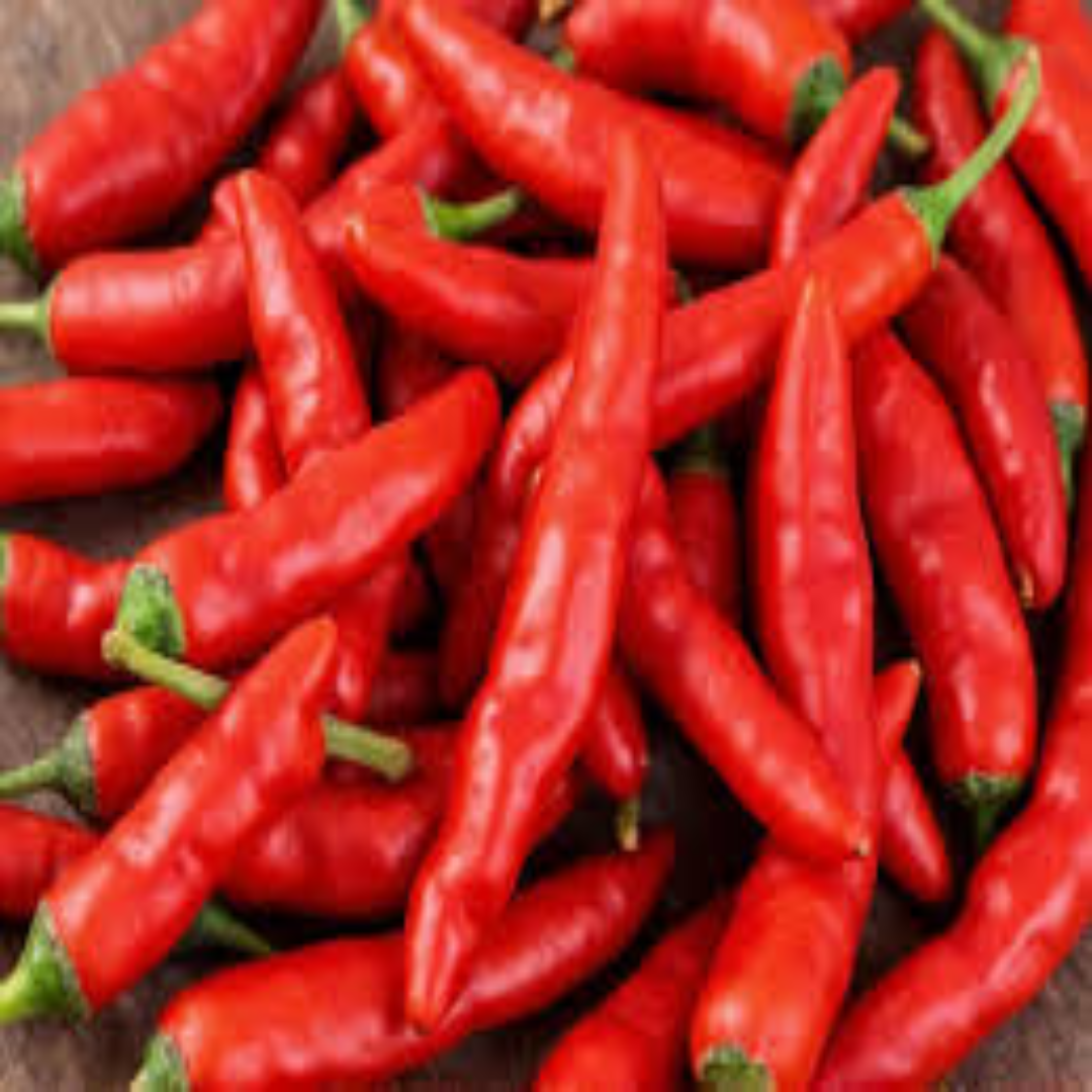 Guajillo Red Chilli for Authentic Flavor and Export Supply